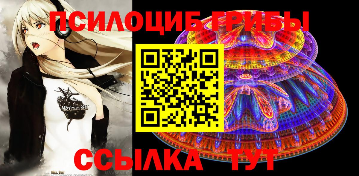 Псилоцибиновые грибы Cubensis Фурманов